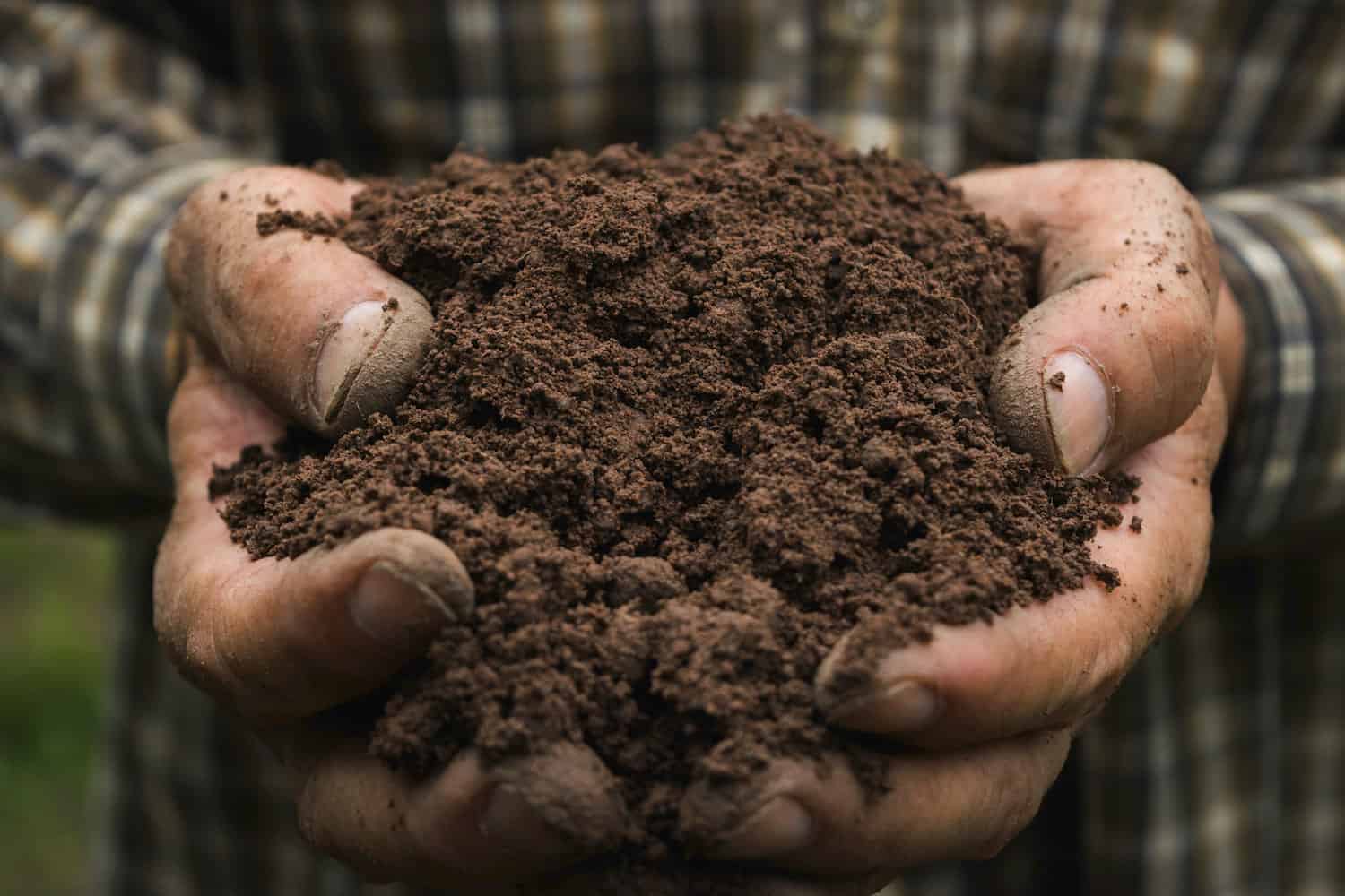 Clay Dirt*