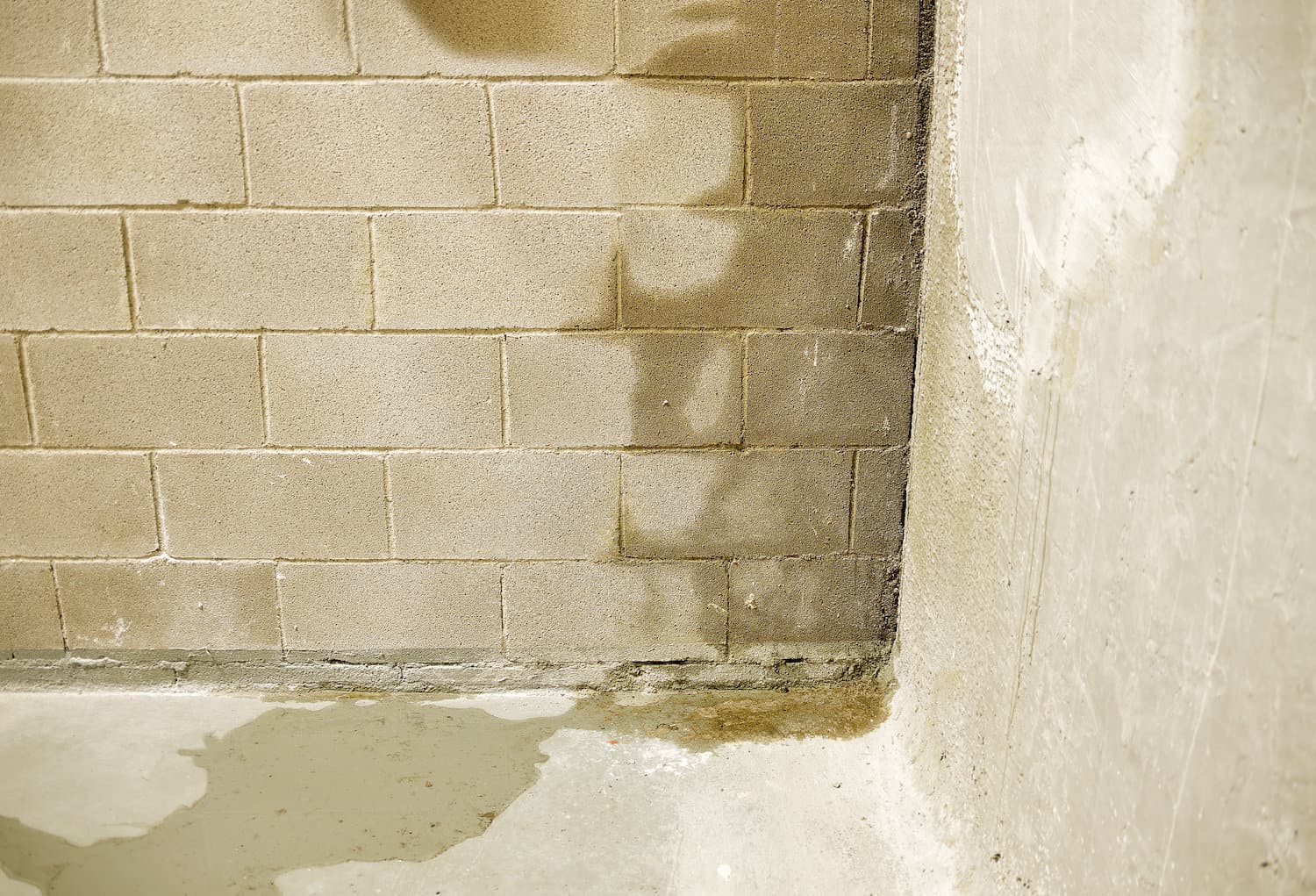 foundation issues damp basement