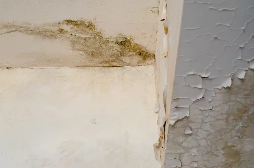 damaged walls and cracked ceiling from foundation leak